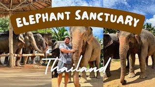 Thailand: Feeding & Bathing Elephants at the Ao Nang Elephant Sanctuary in Krabi!