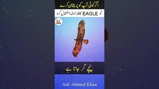 Eagle Attitude: Face Problems Like a True Leader  | Powerful Motivation