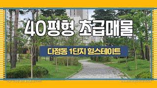 초급매물!! 세종시 명품아파트 다정동 1단지 힐스테이트 40평형 소개