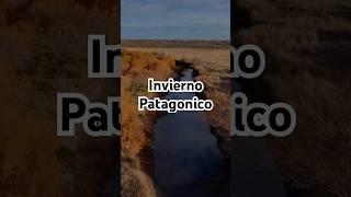 Los colores del invierno en la Patagonia! #argentina #patagonia #travel