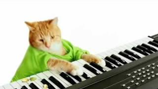 Keyboard Cat's Wonderful Pistachios Commercial!