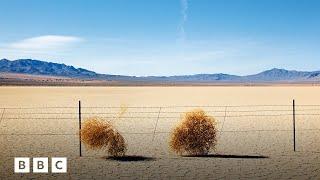 The truth about tumbleweed | BBC Global