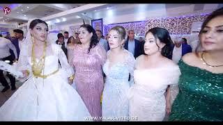 Gazal & Hasan - Part 2 - Yalak Video - Kemanca Tanju Zorav - kurdish wedding 2024