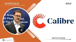 Calibre Mining: Insight into the Proposed Merger with Equinox Gold and the Benefits