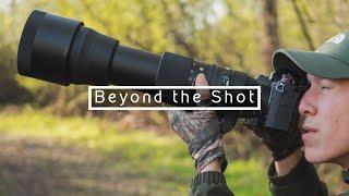 Sigma 150-600mm Lens Review for Wildlife/Bird Photography