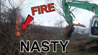 How to DESTROY a Pasture Field