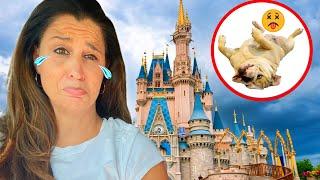 Our DOG ALMOST DIED while WE WERE AT DISNEY WORLD!