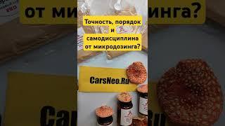 Точность, порядок и самодисциплина от микродозинга? #микродозингмухомора #ежовик