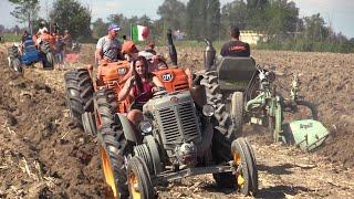 Baura 2023 (domenica PM) - Aratura d'epoca e Landini testacalda | Vintage hot bulb tractors plowing