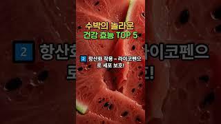 수박이 이렇게까지 좋다고?” 여름철 건강 효자 과일
