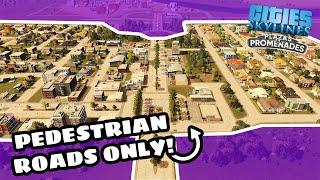 Is It Possible To Make A City Out Of Only Pedestrian Roads?