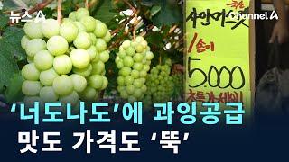 ‘너도나도’에 과잉공급…샤인머스캣, 맛도 가격도 ‘뚝’ / 채널A / 뉴스A