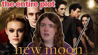 here's the ENTIRE plot of the TWILIGHT SAGA so you don't have to read 3,000+ pages (NEW MOON)