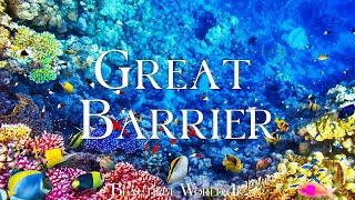 Great Barrier 4K - Journey Through Vibrant Coral Reefs and Marine Life with Calming Music