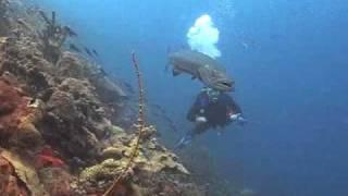Bonaire 2010