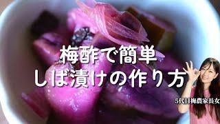 【梅農家レシピ】赤梅酢できれいに染まる！即席しば漬けの作り方