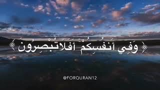 (( وفي أنفسكم أفلا تبصرون )) أحمد العجمي