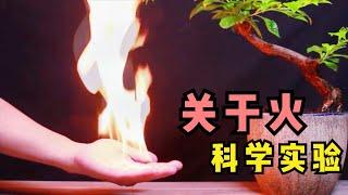 关于火有趣的科学小实验，可以让冰块也燃烧起来，太神奇了【神奇小实验】