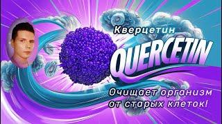  Кверцетин: мощный антиоксидант для очистки от старых клеток!  Научные исследования 