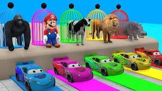 Long Slide Game With Elephant Gorilla Buffalo Hippopotamus Tiger 3d Animal Game Funny 3d Animals