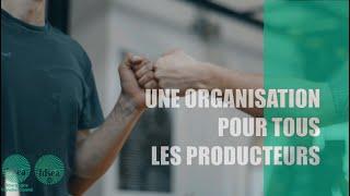 OP : Une organisation pour tous les producteurs