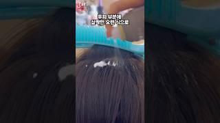 볼륨 무스 사용법 (웰라 루트 슛) #소리쌤 #shortsvideo #hairtutorial #hairstyle #셀프헤어