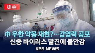 [이슈] "제2의 팬데믹?" 중국 우한서 '신종 박쥐 코로나' 발견/질병청 "인간 전파 가능성 낮아"/2025년 3월 1일(토)/KBS