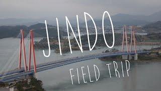 Life in Korea | Vlog: Field Trip to Jindo