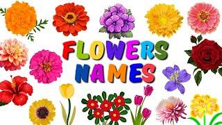 Learn Flower Names For Kids | Flowers Names | English Vocabulary | BrainyBeams