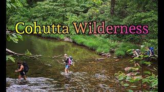 Cohutta Wilderness Backpacking 2021