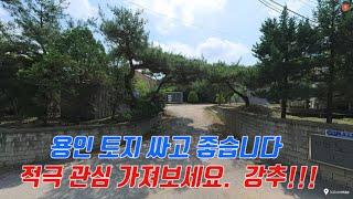 좋아 보입니다.  적극 관심 가져 보세요