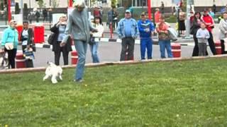 Валентина Балашова и Ивашка.