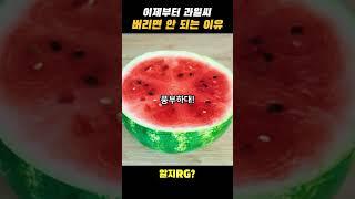 이제부터 과일씨 버리면 안 되는 이유