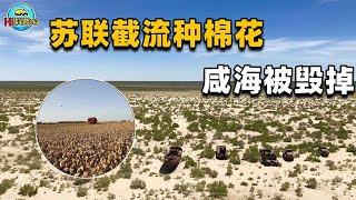 因截流种棉花，7000万人的母亲河，就这样毁在一个超级大国手里！