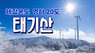 체감온도 영하 20도 꽁꽁 얼어붙은 태기산 설경과 이국적인 태기왕 전설길 그리고 조망이 너무 좋았던 풍력발전터빈길을 걸었습니다 #태기산설경 #태기분교설경