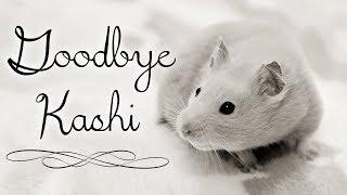 ~ Goodbye Kashi ~