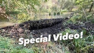 Collapse Damage To The Dam Downstream!