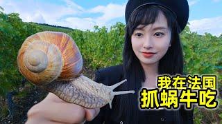 How does it taste to catch snails to eat in France, which eats 6,000 tons of snails a year?