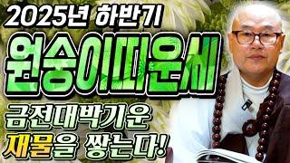 2025 하반기 '원숭이띠' 운세커다란 돈복이 들어와 큰 대성을 이룬다! 귀인이 나타나고 금전문이 열려 돈방석에 앉게 되는 띠 / 56년생 68년생 80년생 92년생 원숭이띠
