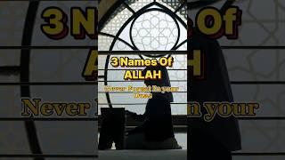 names of allah #shorts #ytshorts #islam #religion al mujeeb