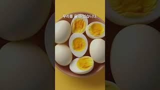 #단백질중독 #영양불균형 #건강식단 #헬스정보 #단백질쉐이크 #식단관리 #영양소 #건강정보 #식사균형 #코메디닷컴 #단백질섭취 #단백질중독 #건강습관 #생활건강 #단백질부작용
