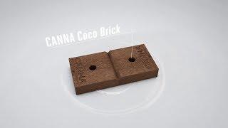 CANNA Coco Brick