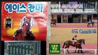 마지막 300m 남기고 꼴지로 달리던 말이 갑자기 일등?! #배당 49.4 #여자기수#경마배팅 #경마예상지 #서울경마 #에이스경마 #일요경마3