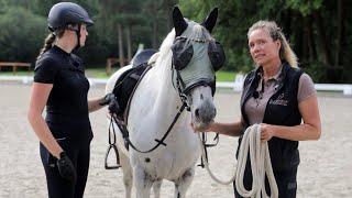 Unwilligem Knabstrupper wird Beine gemacht – Stute wurde nur im Gelände angeritten