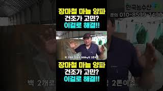 [한국농수산TV] 장마철 마늘 양파 건조고민? 차압식 건조기로 고민 해결