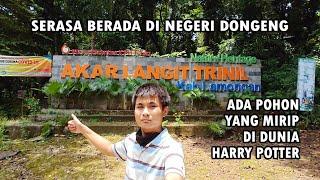 WISATA AKAR LANGIT TRINIL LAMONGAN || DISINI BERASA DI NEGERI DONGENG/DUNIA HERRY POTTER