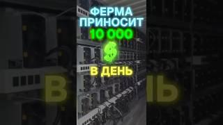 Эта ферма приносит 10 тысяч долларов в день! #майнинг #крипта #инвестиции #трейдинг #интересно #btc