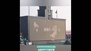20250620　再び流れる！ｶｯｺいい！交流戦限定ﾑｰﾋﾞｰ【阪神ﾀｲｶﾞｰｽvs福岡ｿﾌﾄﾊﾞﾝｸﾎｰｸｽ】試合前　#shorts@阪神甲子園球場･ﾚﾌﾄ外野 日本生命ｾ･ﾊﾟ交流戦