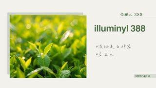 淡斑美白神器『illuminyl 388』讓你重拾青春光彩