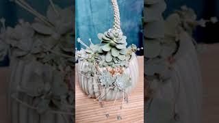 Death Bloom  | what to do?| Dunce Cap | Tips to grow | Succulents by Vonny